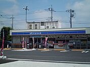 【コンビニエンスストア】ローソンまで800ｍ