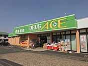 【ドラッグストア】ドラッグエース羽沢店まで700ｍ