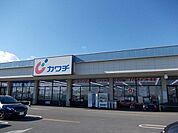 カワチ薬品　若松原店まで1200ｍ