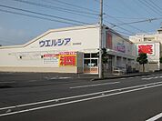 【ドラッグストア】ウエルシア清水有東坂店まで1000ｍ