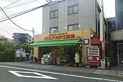 【ドラッグストア】ナカヤマ薬局まで250ｍ