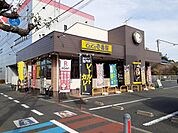 【その他】COCO壱番屋　浦和中尾店まで350ｍ
