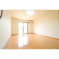 アンプルール　クラージュコリーヌシャンII