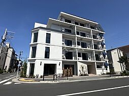 Maison Housedressing