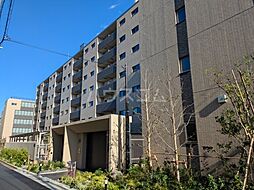 サンジョイアゼロ 313