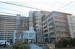 ルネ・アイクレール