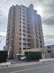 ベルドゥムール草加旭町