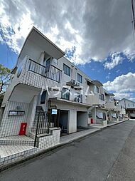 ビスコンティ成瀬