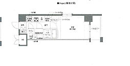 AELL亀有 8階1Kの間取り