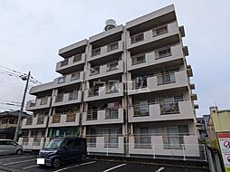 Stella garden水戸白梅