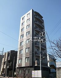 Ｓｔｅｌｌａ　ＳＥＮＤＡＩＺＡＫＡ