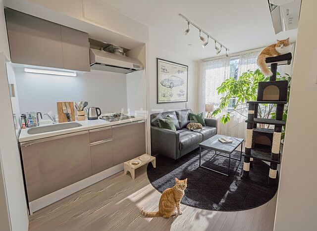 リビング/ダイニング