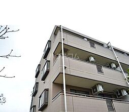 Ｌｏｒｏ　Ｐｉａｎａ