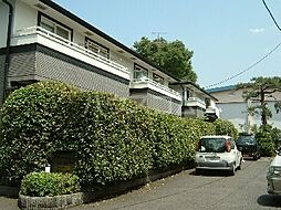 ＰＩＮＥ　ＧＡＲＤＥＮ 　Ｄ棟