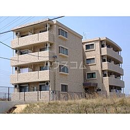 エクスナイズ 306