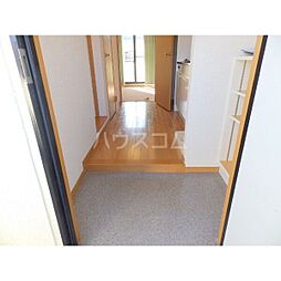 ウッズフェアリー 307