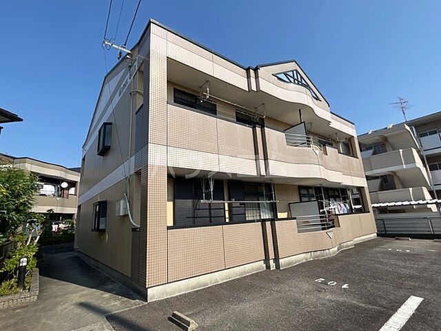 2 / 11