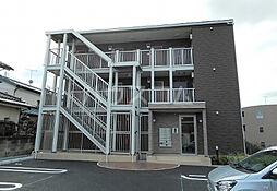 プラムシャイン