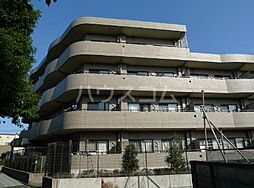 プリムローズ 308