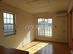 ファレノプシス 204