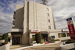 カンファ−　トゥリー