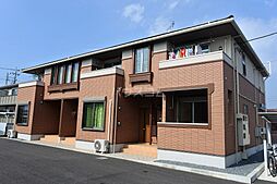 ＬＵＰＩＮＵＳ（ルピナス） 203