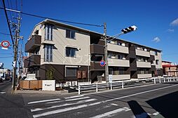 タートルエイト