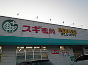 【その他】スギ薬局笠松店まで809ｍ