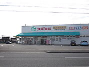 【その他】スギ薬局舟橋店まで1121ｍ