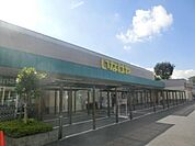 【スーパー】いなげや 草加瀬崎店まで688ｍ