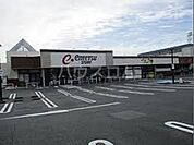 【スーパー】遠鉄ストア 初生店まで328ｍ