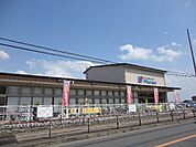 【スーパー】（株）万代 樫原店まで233ｍ