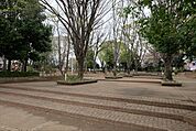 【公園】城東公園まで736ｍ