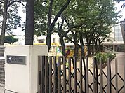 【幼稚園】草加氷川幼稚園まで928ｍ