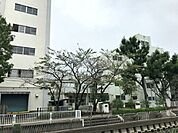 【小学校】八潮市立松之木小学校まで789ｍ