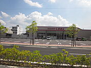 【その他】ファッションセンターしまむら北一色店まで1294ｍ