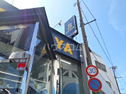 【その他】TSUTAYA 大船店まで1861ｍ
