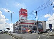 【家電製品】コジマ×ビックカメラ駒生店まで1165ｍ