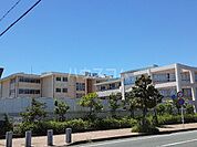 【小学校】浜松市立大平台小学校まで794ｍ