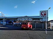 【ホームセンター】コメリハード＆グリーン藪塚店まで972ｍ