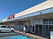 【ショッピングセンター】カスミ花崎店まで1317ｍ