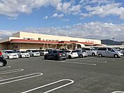 【スーパー】サンヨネ 蒲郡店まで1727ｍ