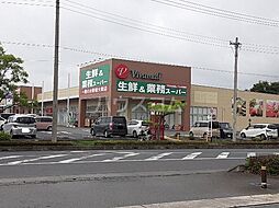 [周辺] 【スーパー】生鮮＆業務スーパー加須ビバモール店まで1554ｍ
