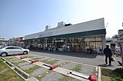 【スーパー】阪急OASIS(阪急オアシス) 高殿店まで782ｍ