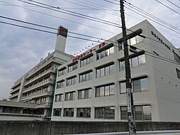 [周辺] 【総合病院】昭和大学藤が丘病院まで740ｍ