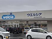【ドラッグストア】ウェルシアひたちなか市大平店まで1387ｍ