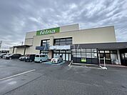 【スーパー】Felna(フェルナ) 道光寺店まで511ｍ