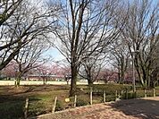 【公園】大泉中央公園まで1635ｍ