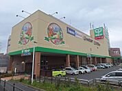 【スーパー】サミットストア 東寺方店まで1009ｍ