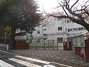 【小学校】横浜市立寺尾小学校まで1238ｍ